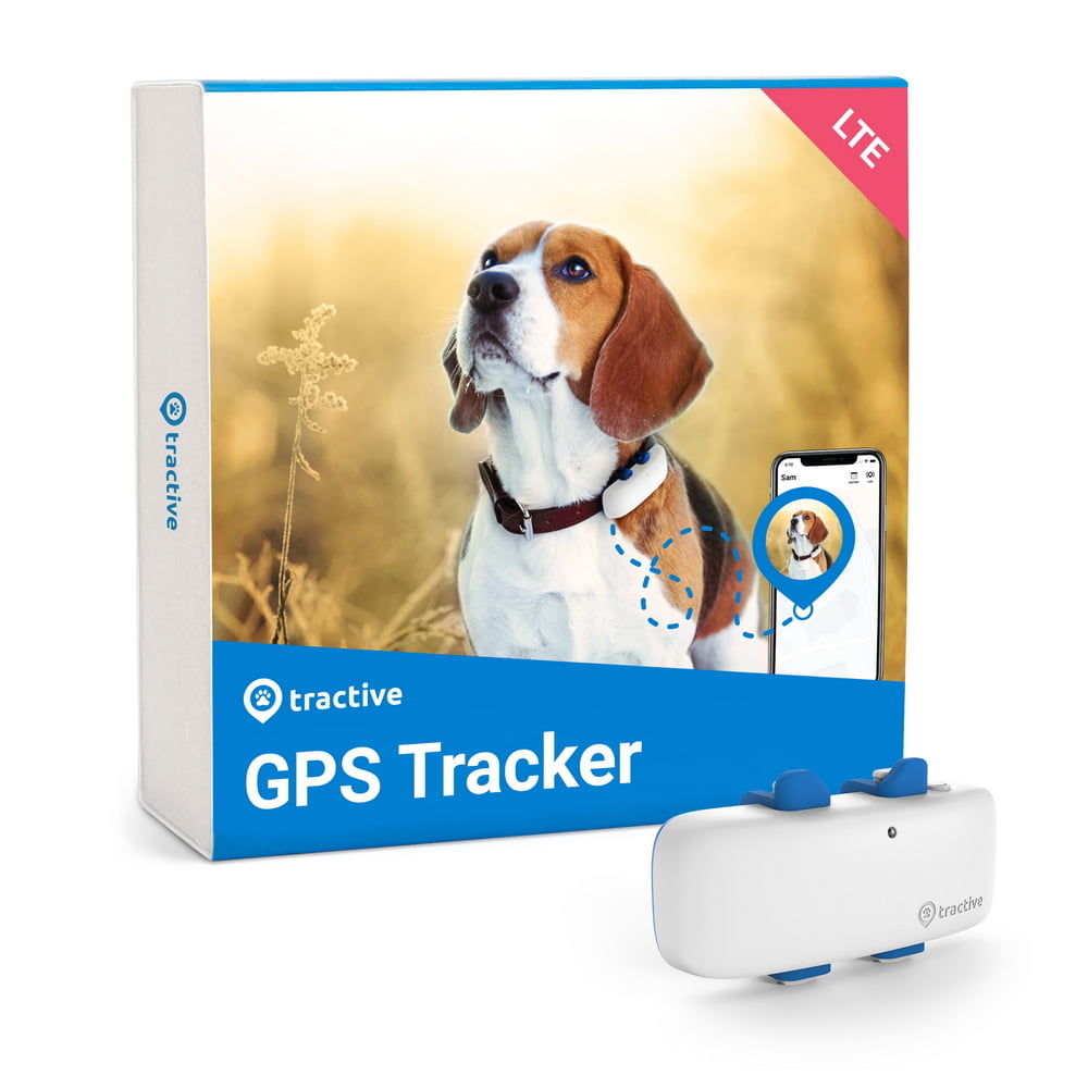 GPS per cani Tractive 1